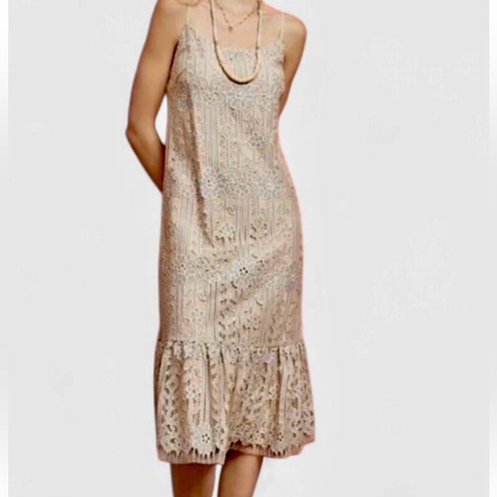 Anthropologie eri + ali Embroidered Twilight Dress. Color Silver Motif/Nude-Gray